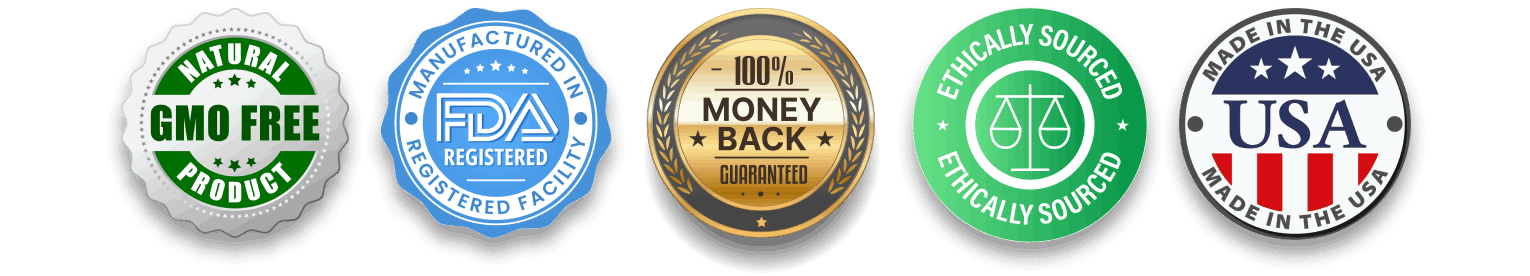 audifort official website